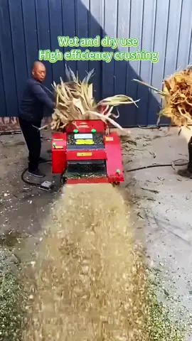 🐎🐂🐏🐪🐇 High-efficiency grass crusher for horses, cattle, sheep, rabbits and donkeys.#chaffcutter #grasscutter #grasscuttermachine #strawcutter #chopper #chopperindonesia #crusher #crushing #crushingmachine #crush #grind #grinder #grinding #grindingmachine #feed #feedfeed #machine #machinery #Machineryequipment #tiktok #foryou 