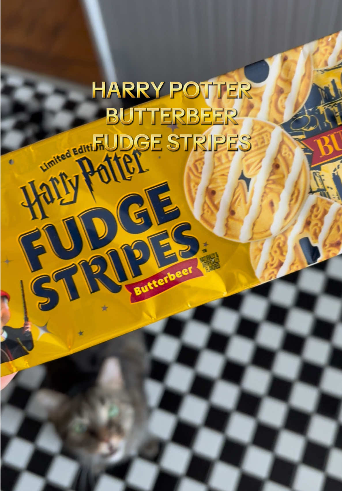these are way better than the stranger things cookies  *not for kitty consumption*  @Keebler#harrypotter#cookies#snacks