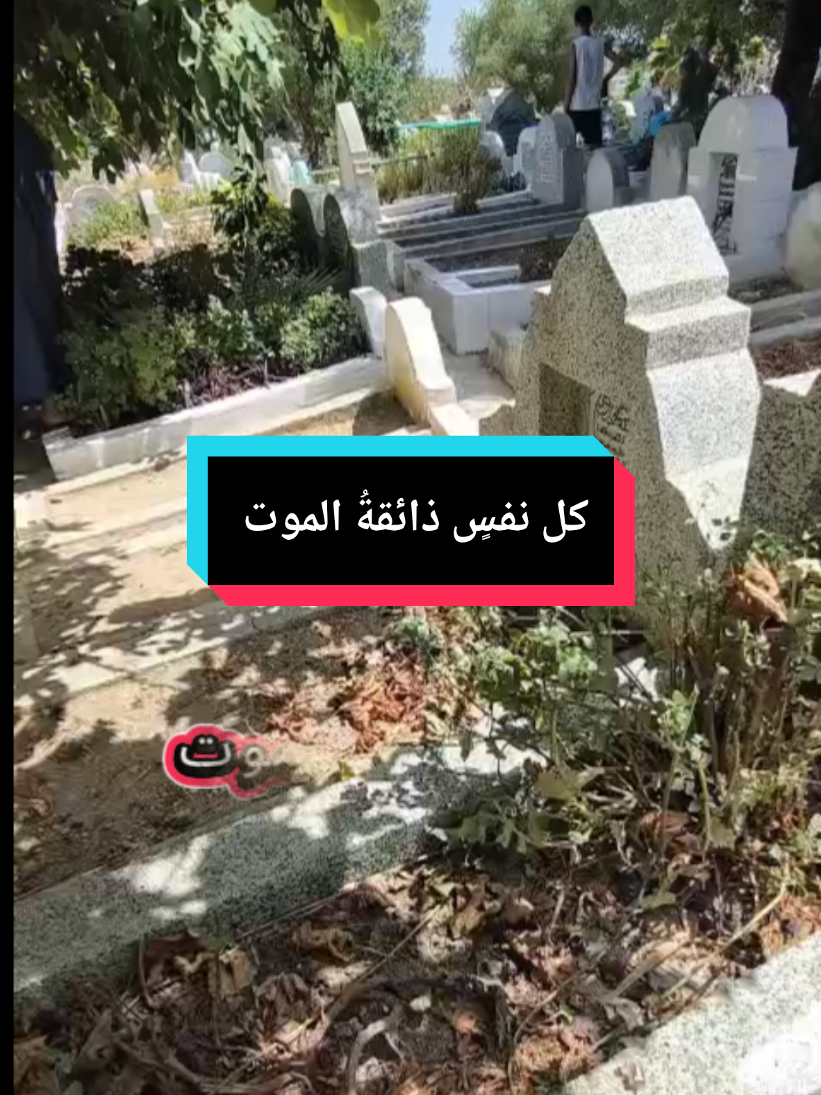 كل نفس ذائقة الموت #الموت #ذائقة #كل #نفس #الآخرة 