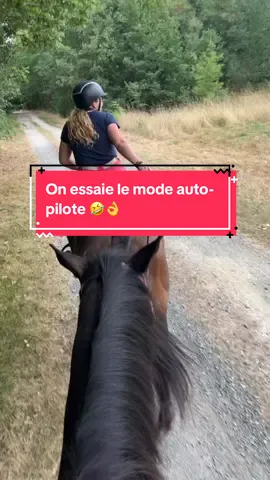 Quand tu as des chevaux et une copine prêts à te suivre dans toutes tes conneries 😅🤣 boire ou conduire, il faut choisir 🤣👌 @clarisse51 #cheval #balade #pursang #equitation 