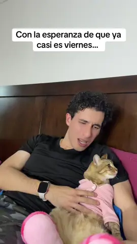 😴 Con sueño y cansancio, pero con la esperanza de que ya casi es viernes… #GatosDeTikTok #humor #Gatos #catsoftiktok #catlover 