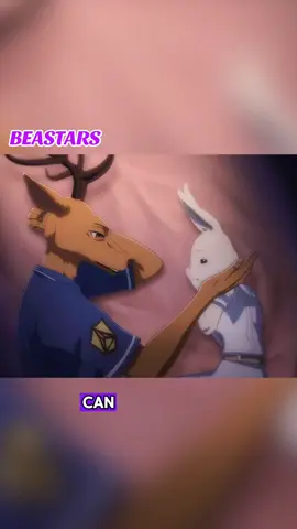 How many partners does this rabbit even have?#beastars #animation #foryou #hiddengems #fyp #fypシ 