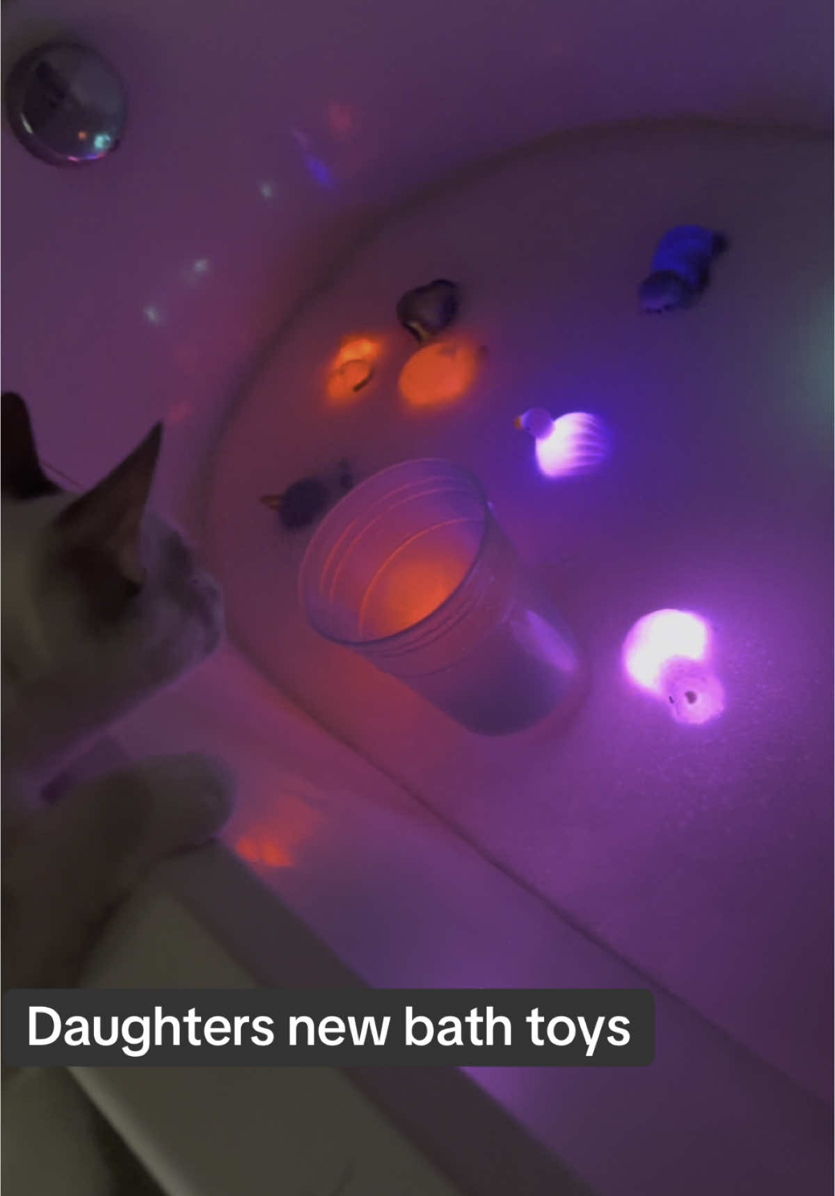Our daughter loves her new bath toys. I do as well 😂 #toys #kids #bath #tiktok 