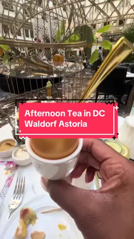 Peacock Alley at the Waldorf Astoria has really shown out! It’s the best of my tea series so far with the Intercontinental a close second! Where should I go next? #afternoontea #dceats #dctiktok #dcfoodie #fyp @WaldorfAstoriaHotel @peacockalley 
