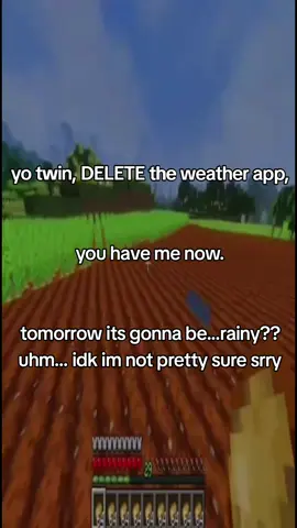 #niche #goviral #fyp #slimetok #Minecraft 