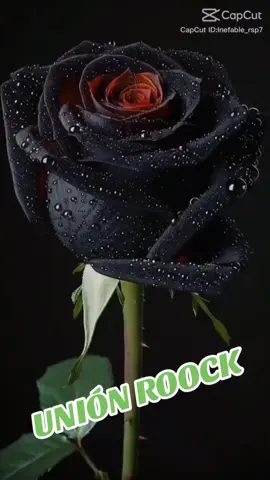 #💚unionroock🖤 #Rock 