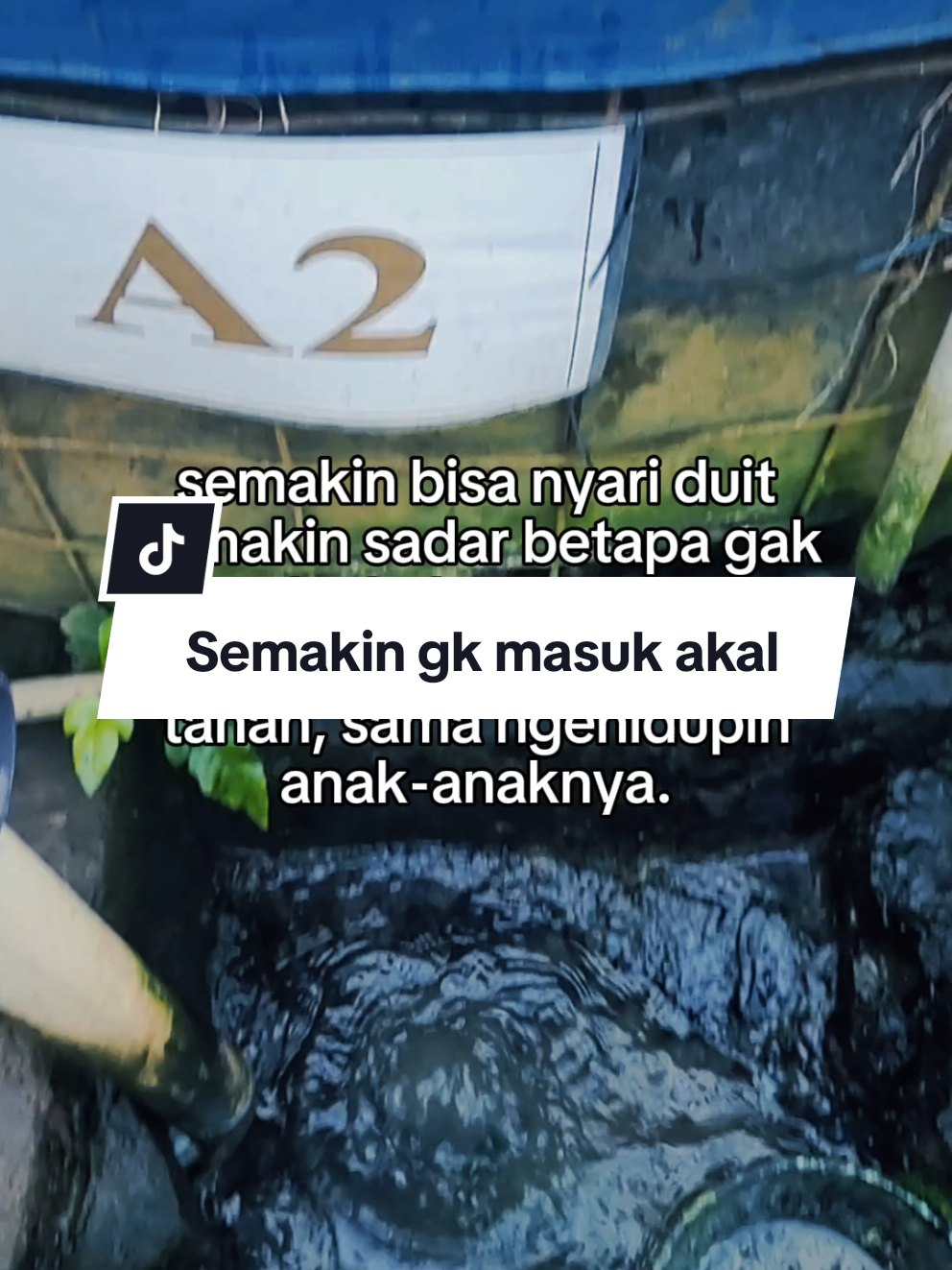 Semakin dipikir, semakin gk masuk akal... #suksesbutuhproses #bosmuda #perintisbukanpewaris #budidayalele  #budidayaikanlele 