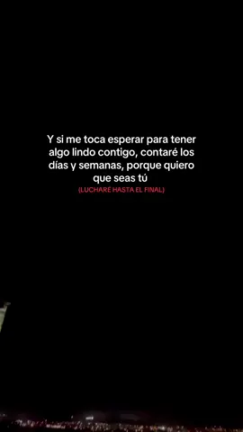 #frases #fyp #viral #lucharehastaelfinal 