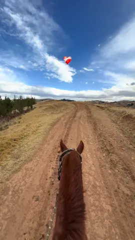 Destras de esas dos orejitas siempre ❤️‍🩹 #fyp #campo #caballos #viral #paratii 