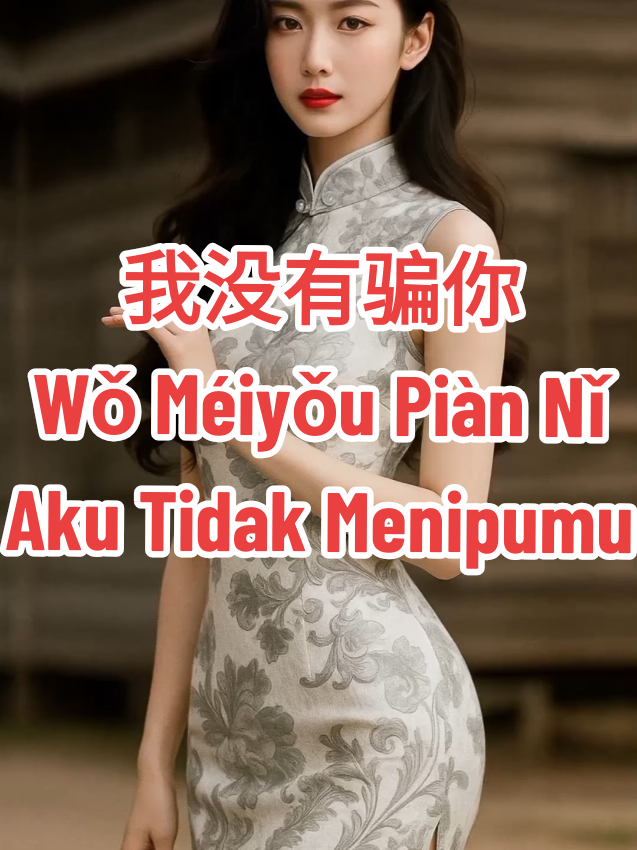 我没有骗你 - Wǒ Méiyǒu Piàn Nǐ - Aku Tidak Menipumu Lagu lama yang penuh kenangan... 🎶 Kalau pernah ngalamin kisah cinta seperti ini, komen ya... Jangan lupa like & share biar makin banyak yang nostalgia ✨ #我没有骗你 #MandarinSong #LaguMandarin #KaraokeMandarin #Nostalgia    