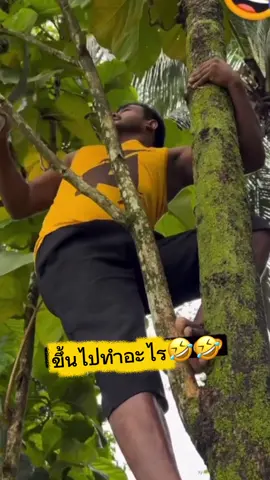 ลงดีๆนะ #คลิปขำๆ #ขำๆ #ตลกขำๆ #คลิปฮาๆ #comedy  