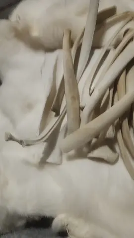 materials for traditional crafting omg im so excited 