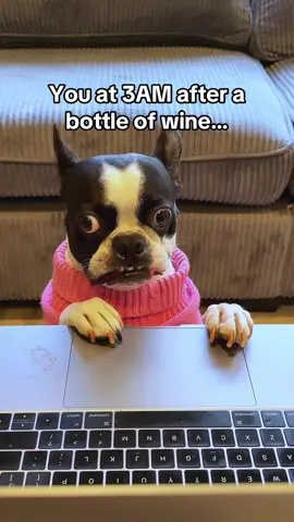 3AM Decisions Were Made 😒 You at 3AM after a few glasses of wine… and suddenly goldfish platform heels feel like a must-have.   Ash was just casually shopping and now apparently he’s a fashion icon. Funny dog videos, Boston Terrier memes, and every dog parent’s late-night shopping regrets in one clip. Because let’s be honest… nothing good happens online after 3AM. . . . #dogmom #wine #amazon #meme #dogsoftiktok 