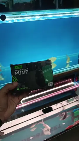 Aquaspeed Submersible Pump A3000 #fyp #fypシ #foryou #fypシ゚viral #tiktok 