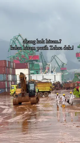 ade mau sama zebra? #masukberanda #katakata #fyp 