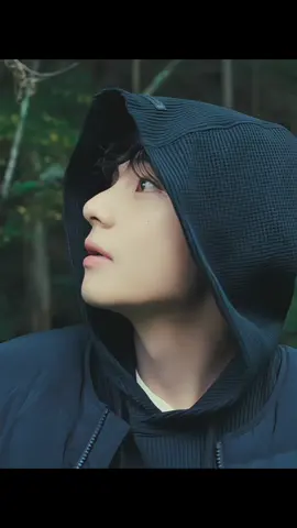 Taehyung from snowpeak youtube  Kami memilih V sebagai model karena saya menilai bahwa karisma V yang kuat, pandangan mendalam, dan kehadirannya yang tenang namun intens sangat sesuai dengan sensitivitas luar ruangan yang tulus yang dikejar oleh brand kami.” — Snow Peak tentang Taehyung #kimtaehyung #taehyung #vbts #armybts #snowpeak 