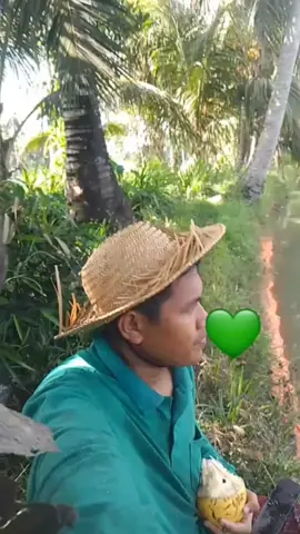 Dokumentasi Latihan tilawah untuk hari ini di tengah sawah ☺️ menggunakan lagu Bayyati jawab + jawabul jawab #latihan #tilawahquran #qori#masukberanda  #fyppppppppppppppppppppppp 
