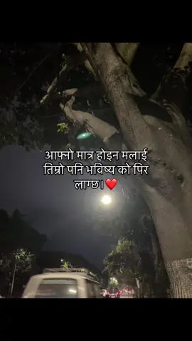 #fyp #bimalshresthaaa #foryoupage #viral 