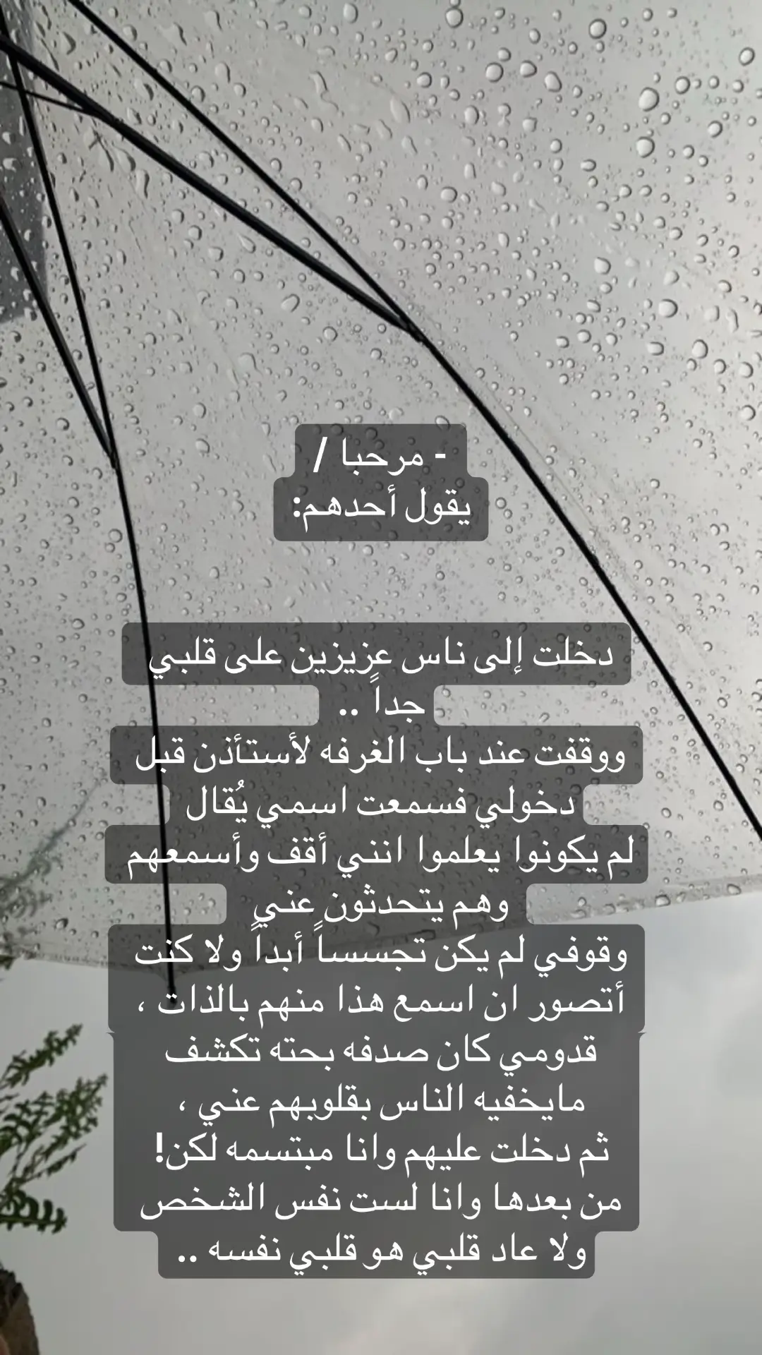 #اكسبلورexplore 