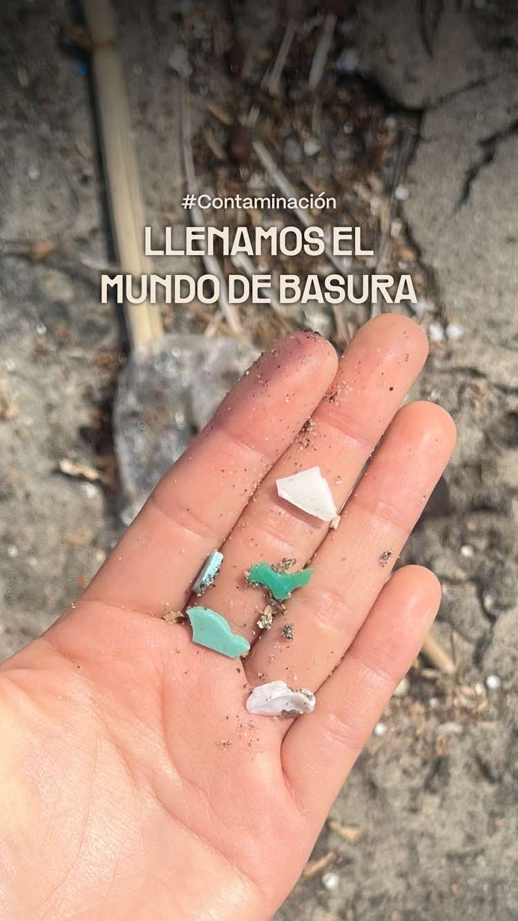 Debemos parar 🚨 Cada día contaminamos más el planeta, aunque no nos demos cuenta 😰 Esa bolsa, botella o sorbete de plástico permanecerá en los ecosistemas por años, ¿No crees que es momento de cambiar? 🤔 Comienza a rechazar el plástico de un solo y deja de consumir desechables que solo sirven para dañar los ecosistemas 🌿 Juntos podremos lograr el cambio, ¿Te unes? 💪 #concienciaambiental #cuidaelplaneta #ecosistemas #medioambiente #sostenibilidad   