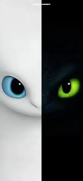 Toothless 🖤 & Light Fury 🤍 – the ultimate duo (Download in My Bio with High quality and with no watermark) #HowToTrainYourDragon #Toothless #LightFury #LiveWallpaper #FYP 