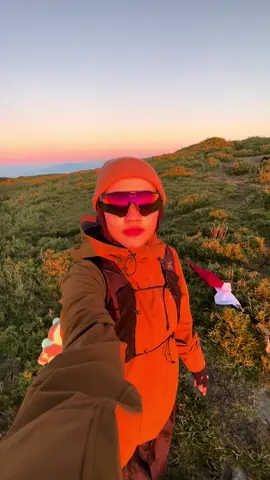 Golden hour 😍 #taiwan🇹🇼 #Hehuanshan 