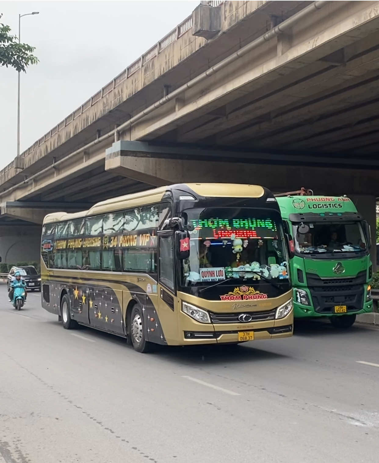 Quả Còi Chất Lượng Thí | Thơm Phụng #nhaxethomphung #thomphunglimosine #xekhachngheanhanoi #khtammm #benxenuocngam 