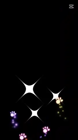 #CapCut 