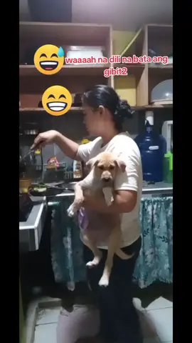 😁🤣😂 doowee 🐶🐕