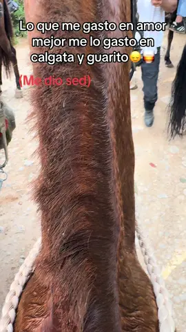 #foryoupage #caballos #paratiiiiiiiiiiiiiiiiiiiiiiiiiiiiiii 