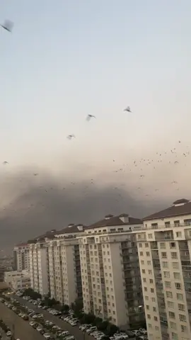 خودا سلیمانی بپارێزە  ❤️