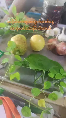 #သင့်မိသားစုအတွက်တစ်နေ့အသုံးဝင်လာနိုင်ပါတယ်နော် #foryou 