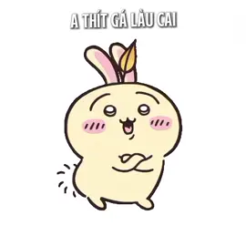 mèn mén#chiikawa #usagi #hachiware #fyp #foryou 