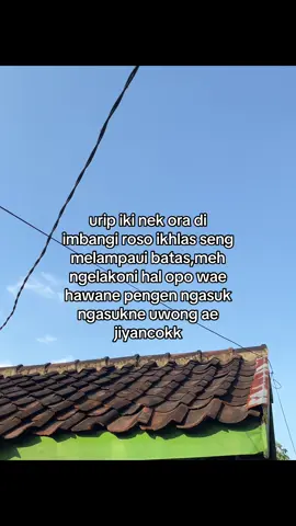 #fyp #viral 