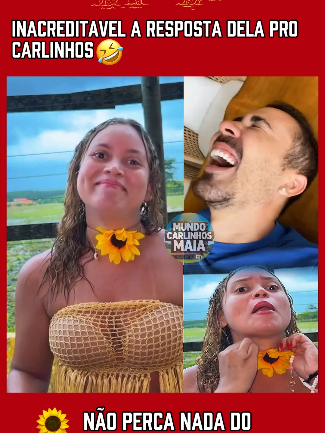 Sou loira kkk  #ranchodomaia🌻💥🎥 #cortesdomaiaHX #cortesranchodomaiaHX #carlinhosmaiaof #hypexcortes  @hypex.cortes @carlinhos