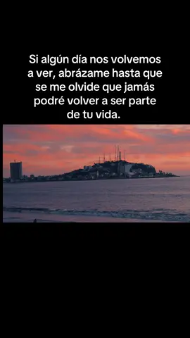 En otra vida, tuvimos un amor sano, una familia feliz, y fuimos siempre nuestro lugar seguro. #relsb #lavidasinti 