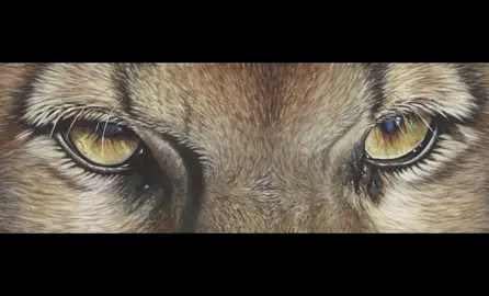 Not only humans have attractive eyes.#fyp #explore #foryou #eyes 