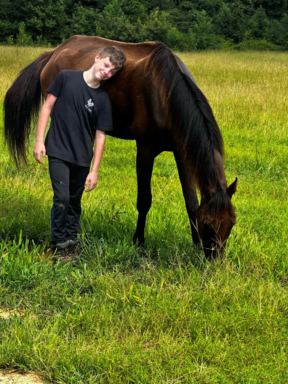 Progress from July 13th to TODAY THE LAST PICTURE!!!! Target Ready is looking amazing. He isn’t the same. People want to bash me!!! He is a rescue watch my other videos!!! This is why I’ve been of TT !!! #fyppppppppppppppppppppppp #Love #horse #rescue #horses 