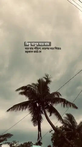 তারপর মরে গিয়েও বহুকাল বাচেঁ সে.!😅❤️‍🩹                           #foryoypageofficial #vairal_video_tiktok_trending #biditiktokofical #fyppppppppppppppppppppppp #foryoupageofficialforyoupageofficial 