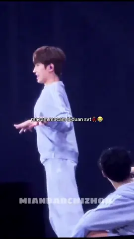 Shockkkk banget, idol gw😫😭 haniee mantap bgt geal geolnya wkwk #mingyu #wonwoo #jeonghan #joshua #seventeen 