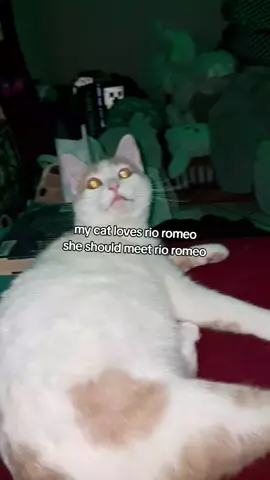 @Rio Romeo shes a big fan