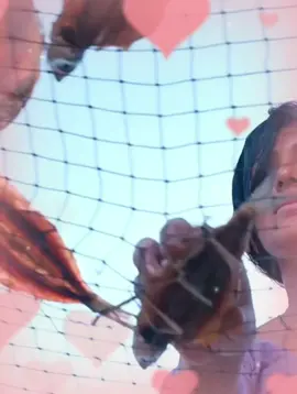 🥰🥰♥️♥️♥️♥️🥰🥰