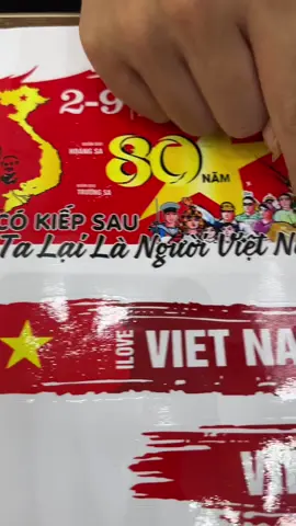 Nếu có kiếp sau lại là người Việt Nam #temdecal #toiyeuvietnam 