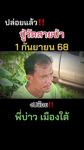 #พี่บ่าว #สงขลา #ฟีดดดシ 