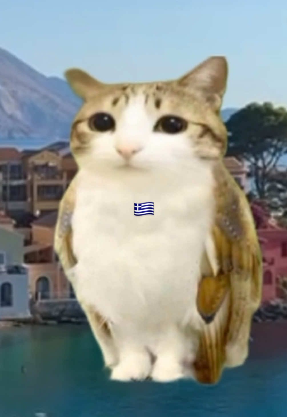 #meowlfacts #meowl #cat #greece #viral sorry if it’s a bit rushed. 