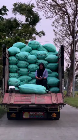 Ya kadang tingkah kita seperti anak kecil biar tambah semangat saat kerja 💪💪💪 #gabahbalap🌾 #pejuangrupiah #gabah #padi #beras 