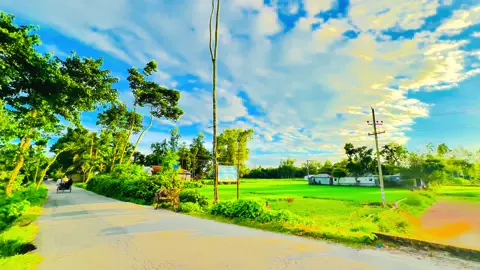 সুন্দর চেহারার যুগে সুন্দর মন নিয়ে বসে থাকা বোকামি ....... 😅❤️‍🩹🌿#প্রকৃতি #sky #anfeezemyaccont #greenscreen #viral_video_tiktok 