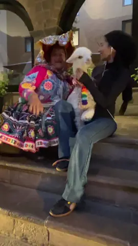 LLAMAAAAAAAA or alpaca??