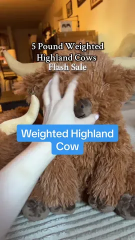 This Highland Cow weighted plush is the softest comfort buddy ever 🐮✨ perfect for kids, girls, or anyone who needs stress relief & cozy cuddles. #weightedplush #highlandcow #StressRelief #cuddlebuddy #tiktokshopfinds 