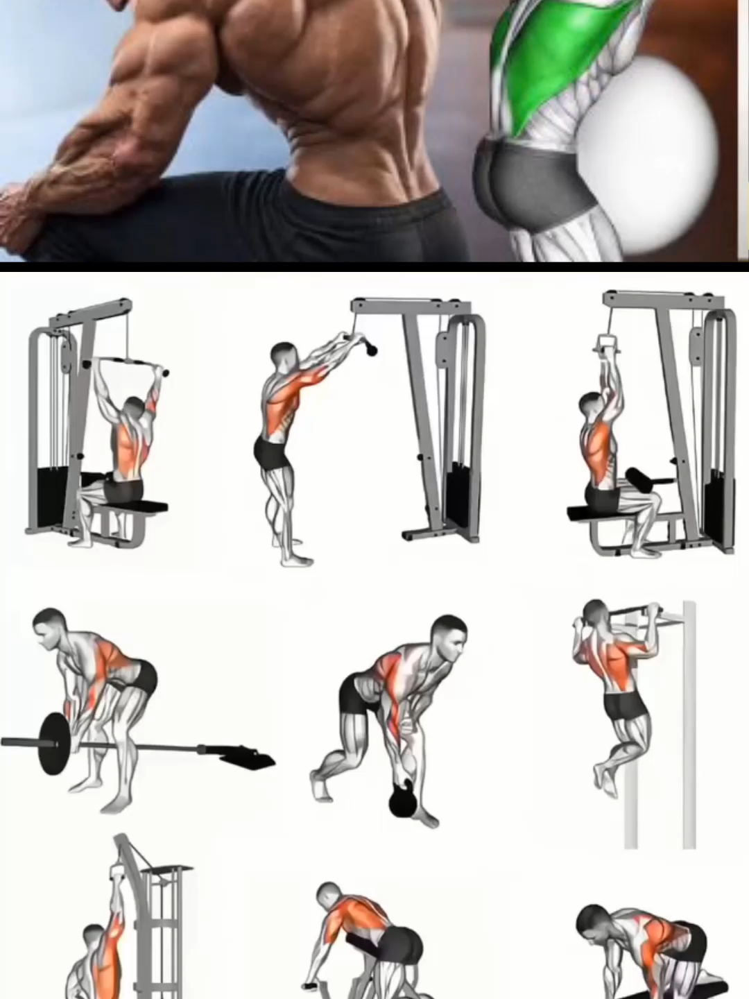 Effective Back Workout #GymTok #muscle #exercise #Fitness #workout #workoutroutine #workouttips #fit #fitnesstips #backworkout #backday